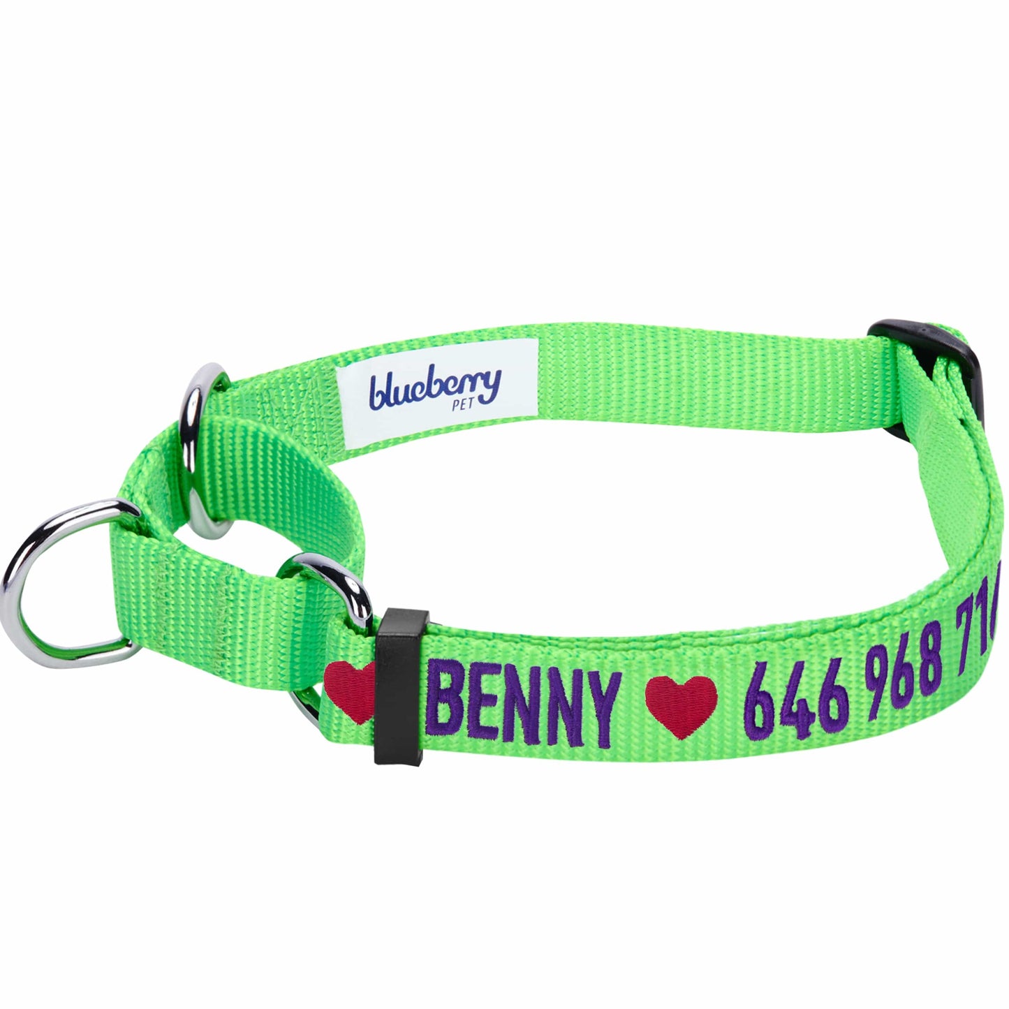 Nylon Personalized Martingale Safety Training Dog Collar Green for Puppy Boy Girl Dog