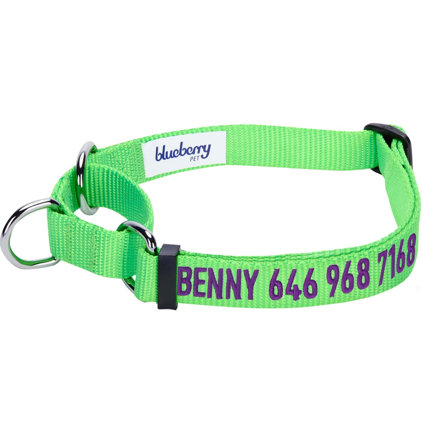 Nylon Personalized Martingale Safety Training Dog Collar Green for Puppy Boy Girl Dog