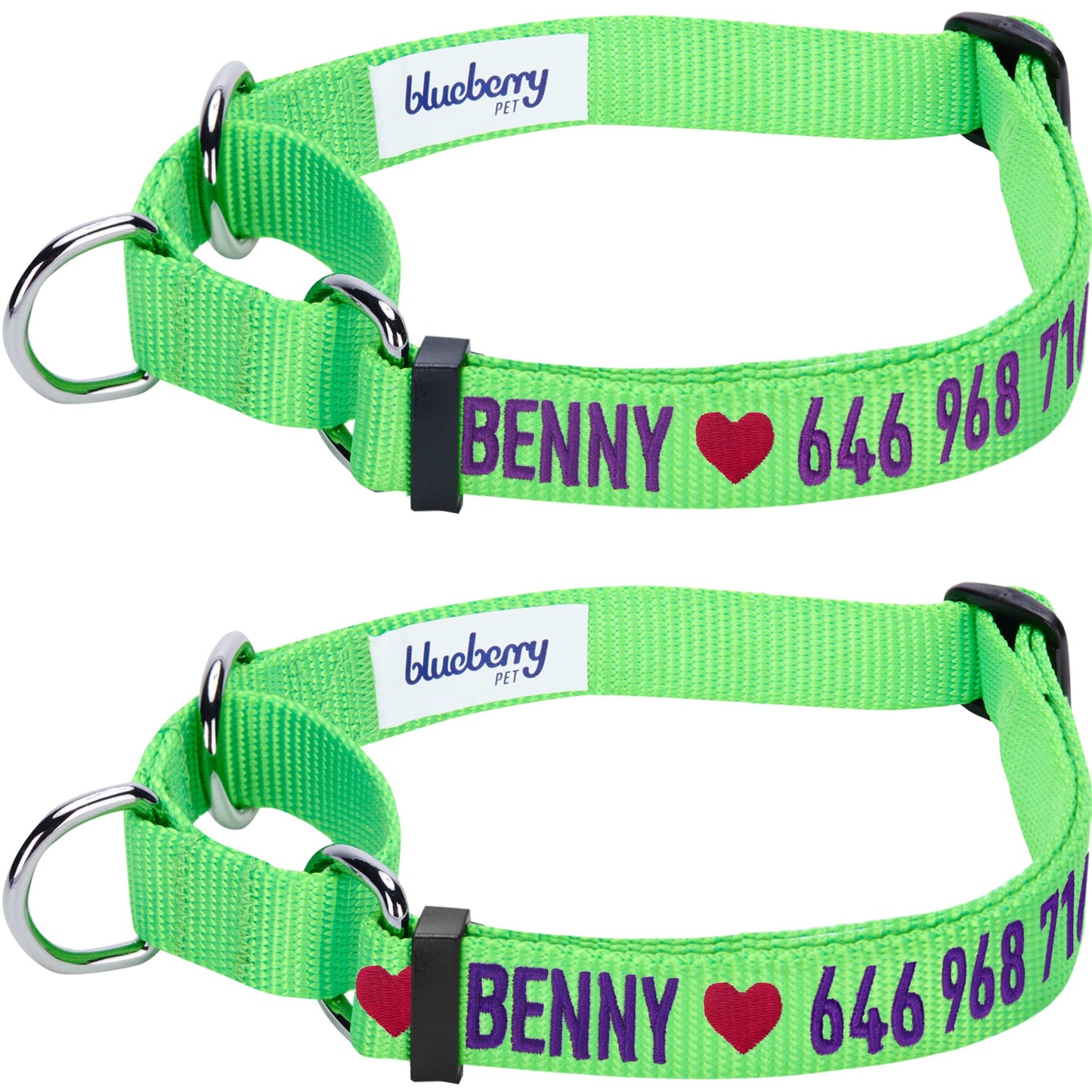Nylon Personalized Martingale Safety Training Dog Collar Green for Puppy Boy Girl Dog