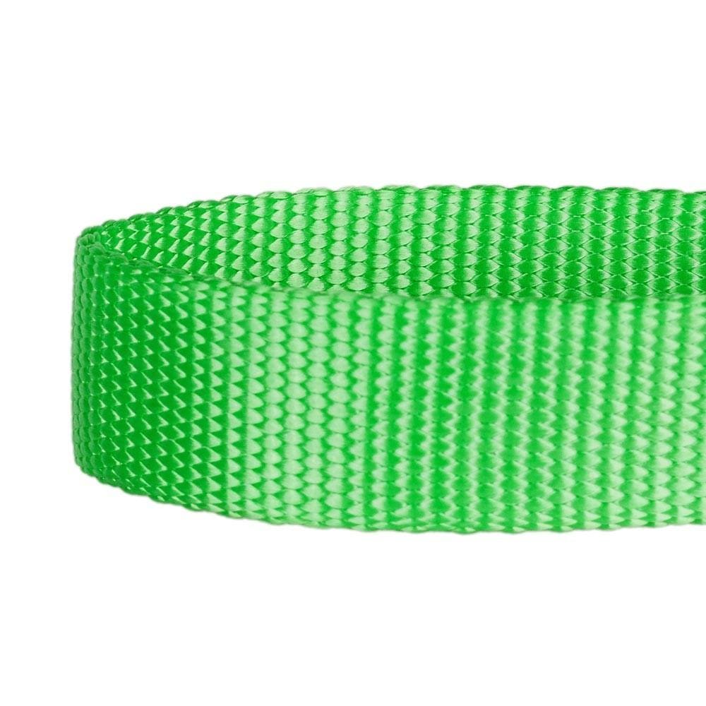 Nylon Personalized Martingale Safety Training Dog Collar Green for Puppy Boy Girl Dog