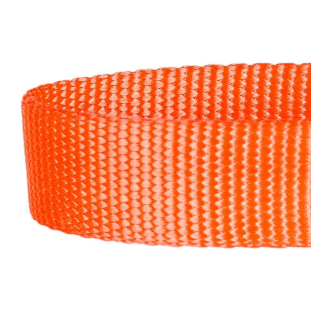 Nylon Personalized Martingale Safety Training Dog Collar Yellow for Puppy Boy Girl Dog
