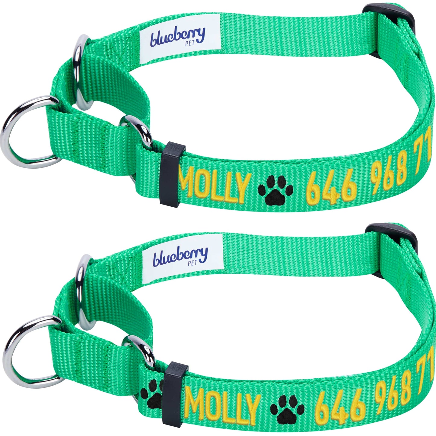 Nylon Personalized Martingale Safety Training Dog Collar Green for Puppy Boy Girl Dog