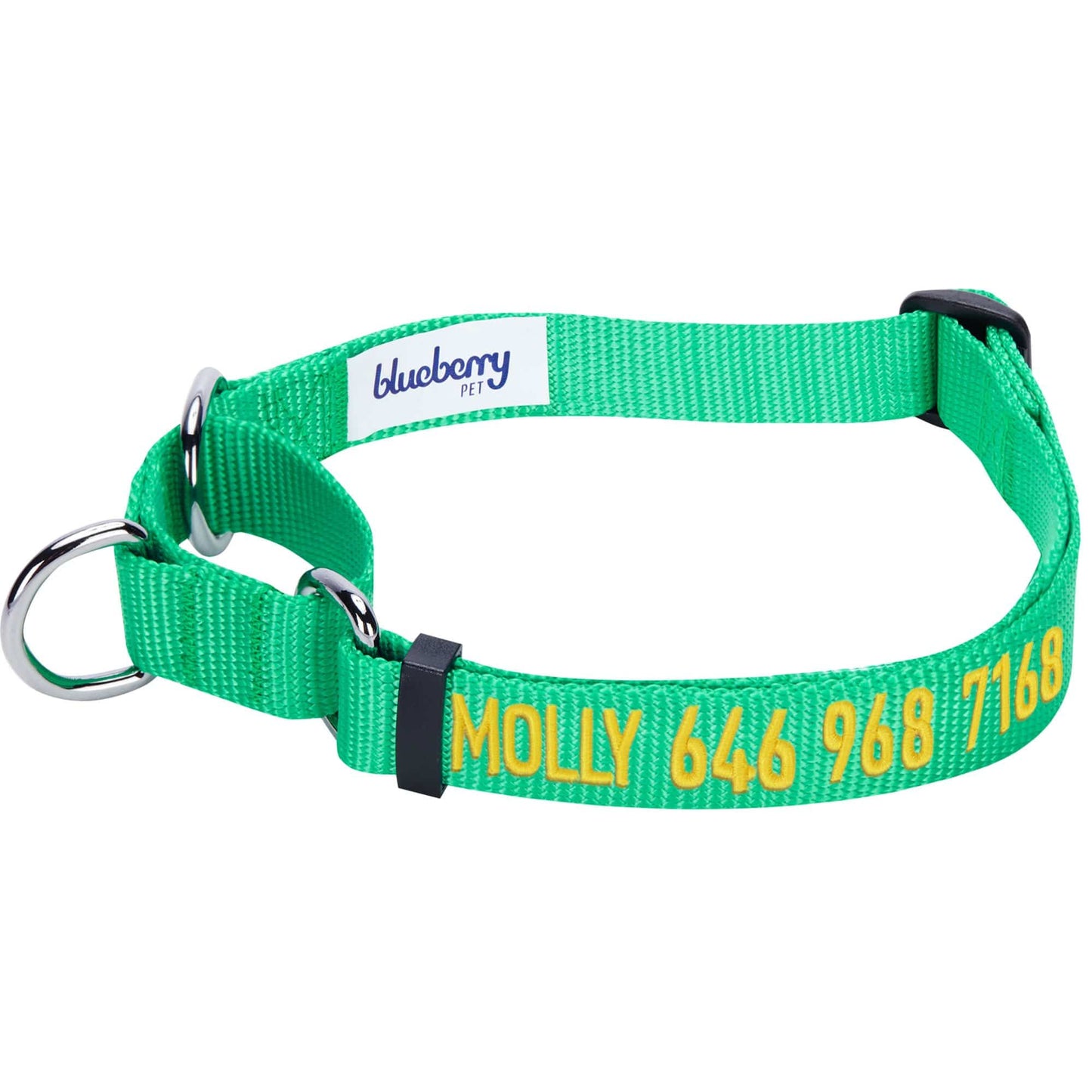 Nylon Personalized Martingale Safety Training Dog Collar Green for Puppy Boy Girl Dog
