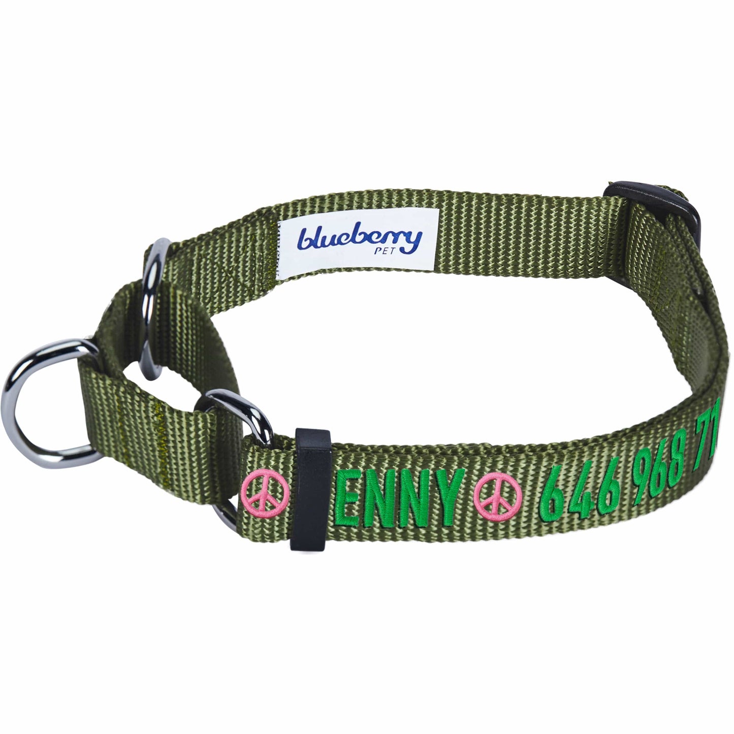 Nylon Personalized Martingale Safety Training Dog Collar Green for Puppy Boy Girl Dog