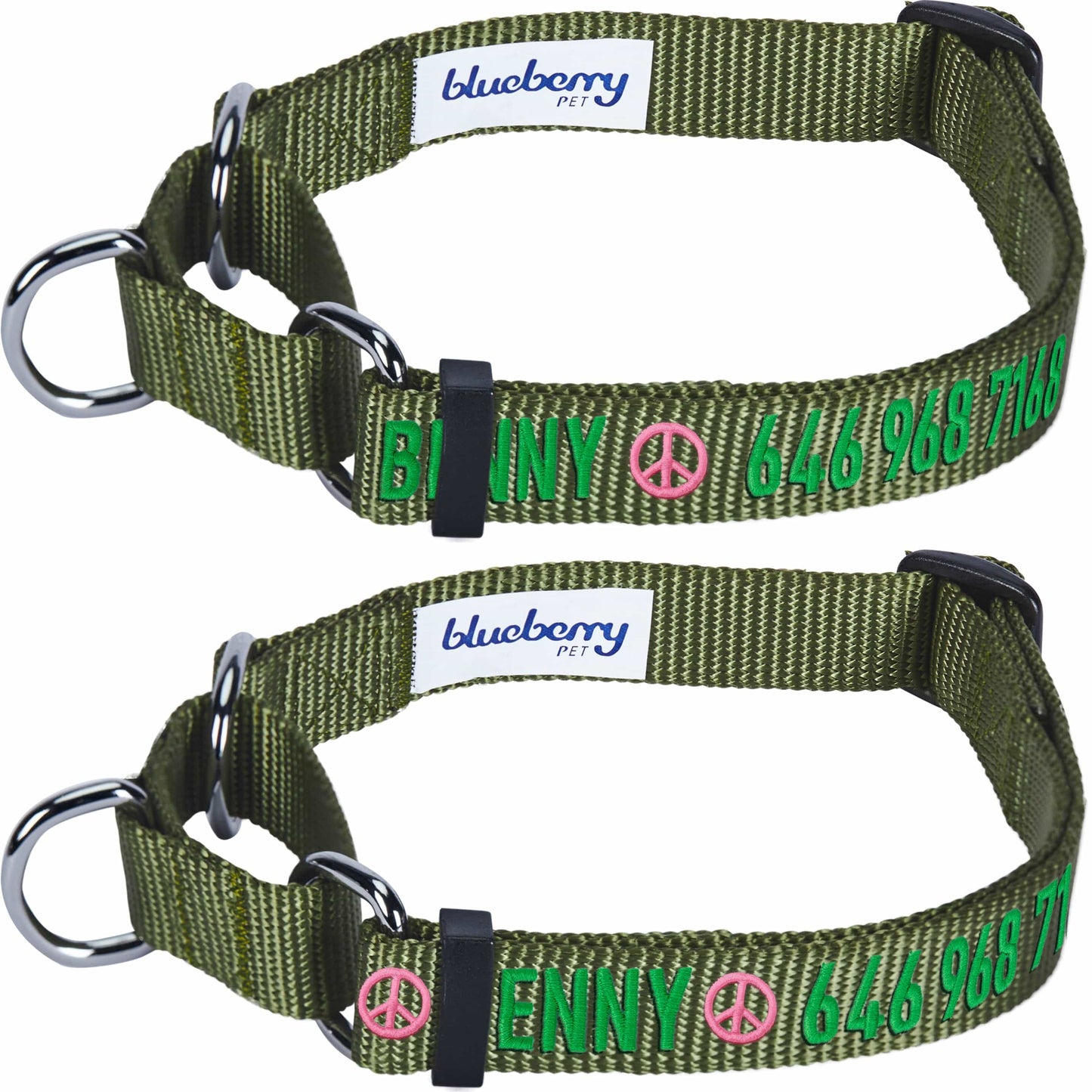 Nylon Personalized Martingale Safety Training Dog Collar Green for Puppy Boy Girl Dog