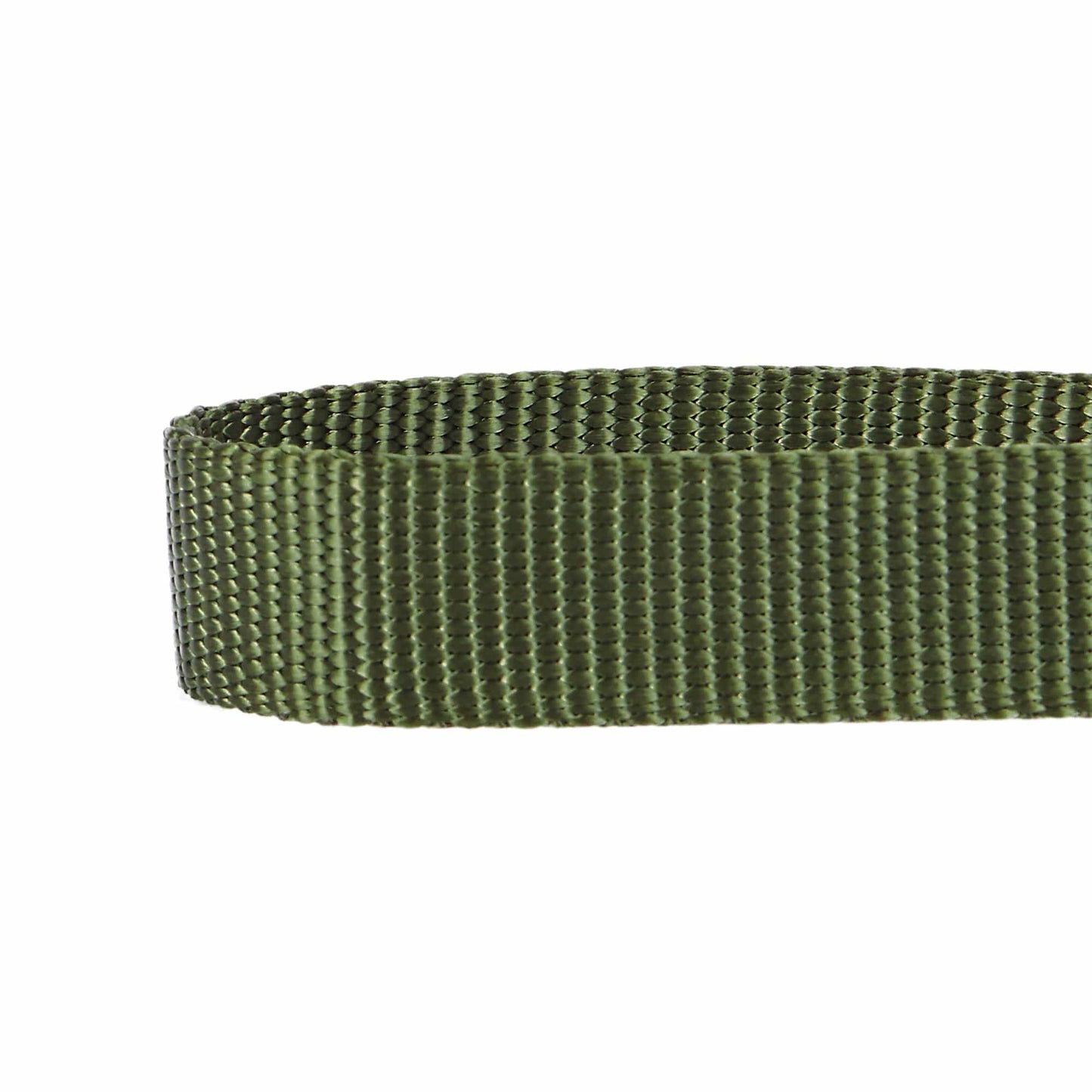 Nylon Personalized Martingale Safety Training Dog Collar Green for Puppy Boy Girl Dog