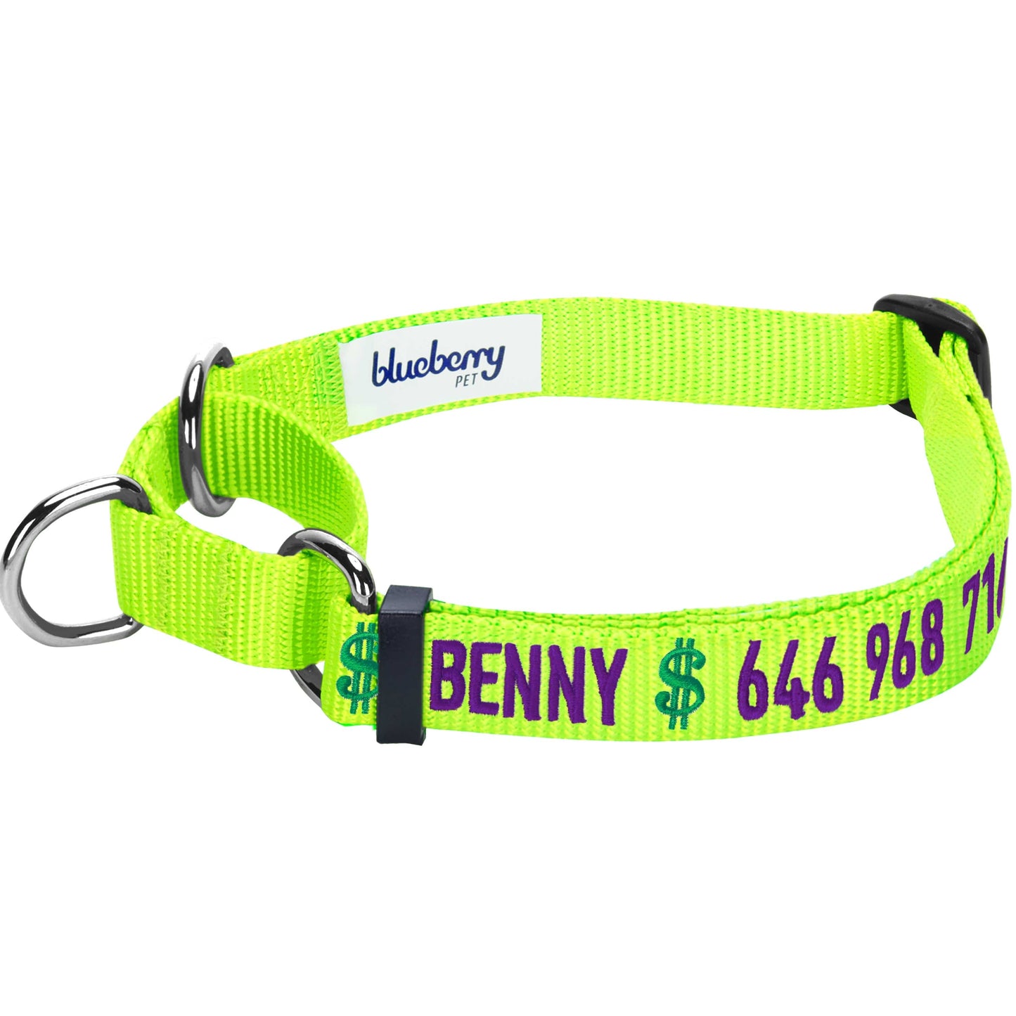 Nylon Personalized Martingale Safety Training Dog Collar Green for Puppy Boy Girl Dog