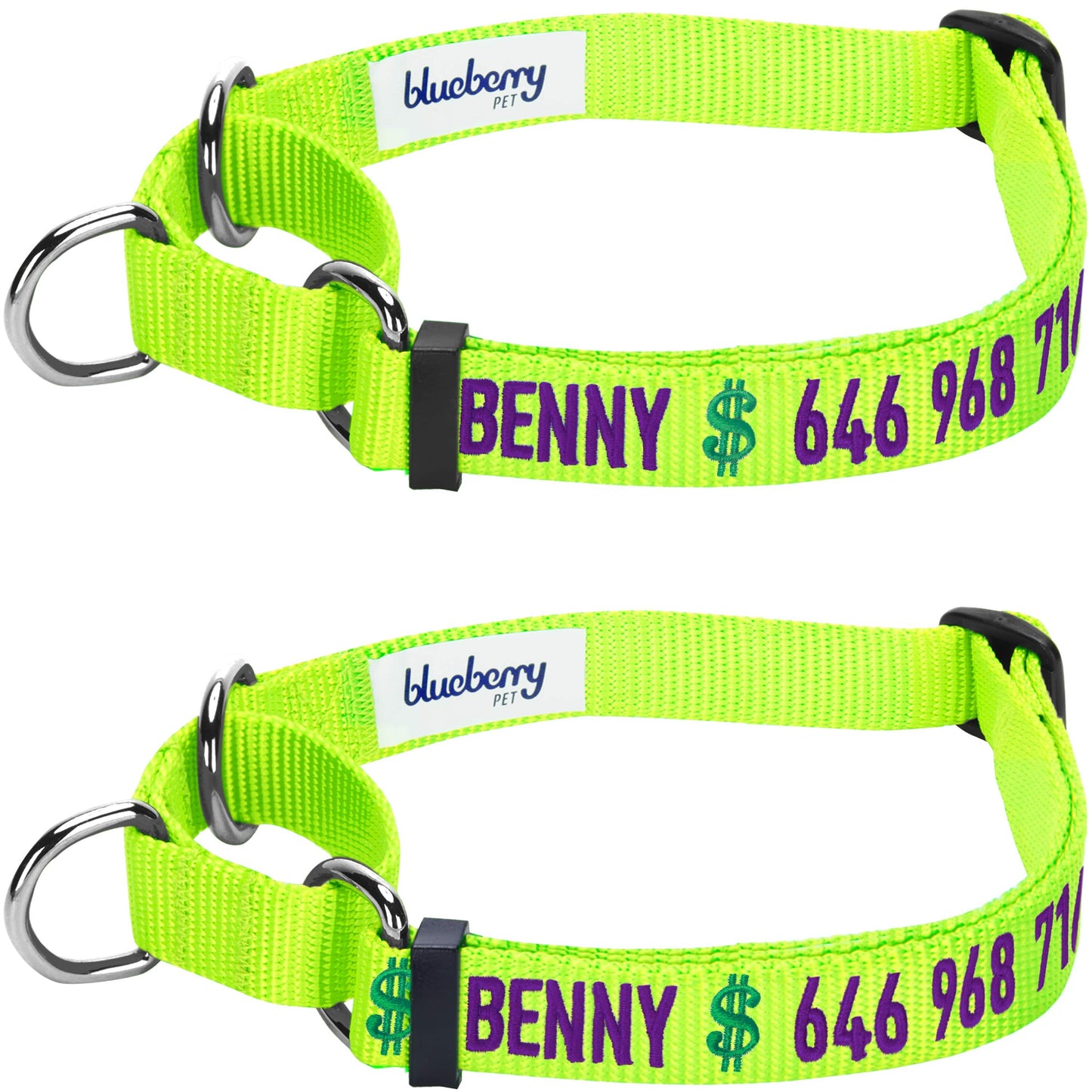 Nylon Personalized Martingale Safety Training Dog Collar Green for Puppy Boy Girl Dog
