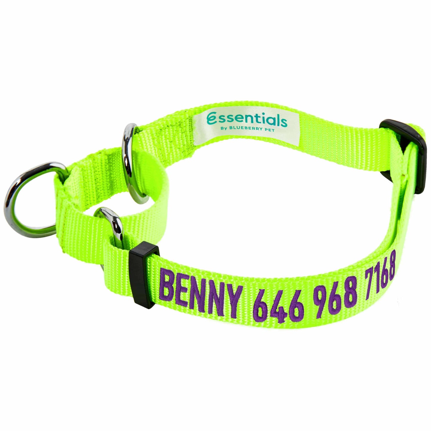 Nylon Personalized Martingale Safety Training Dog Collar Green for Puppy Boy Girl Dog