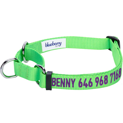 Nylon Personalized Martingale Safety Training Dog Collar Green for Puppy Boy Girl Dog