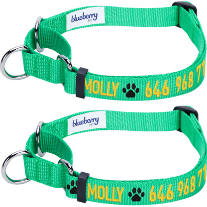Nylon Personalized Martingale Safety Training Dog Collar Green for Puppy Boy Girl Dog