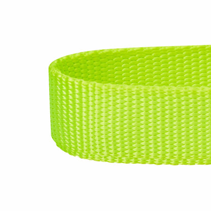 Nylon Personalized Martingale Safety Training Dog Collar Green for Puppy Boy Girl Dog