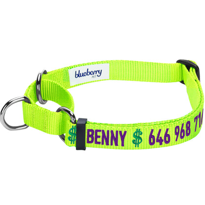 Nylon Personalized Martingale Safety Training Dog Collar Green for Puppy Boy Girl Dog